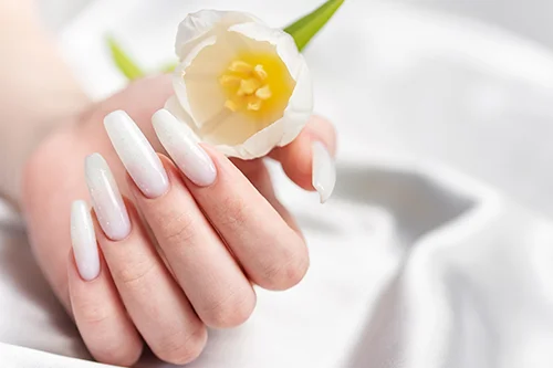 Our Services | Polished Nail Lounge of Houston, TX 77008 | Manicure